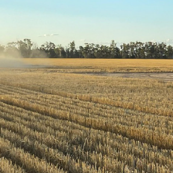 gfcq_field_banner_1140x350