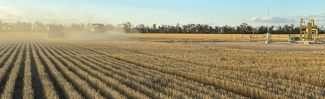 gfcq_field_banner_1140x350