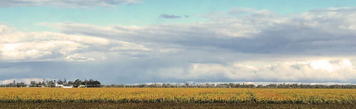gfcq_irrigation_1140x350-1