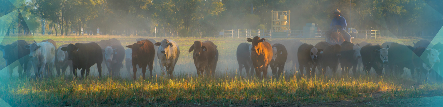 cows_gas_well_farmer_horse_1440x350