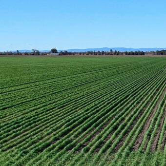 green_furrows_farm_1440x350