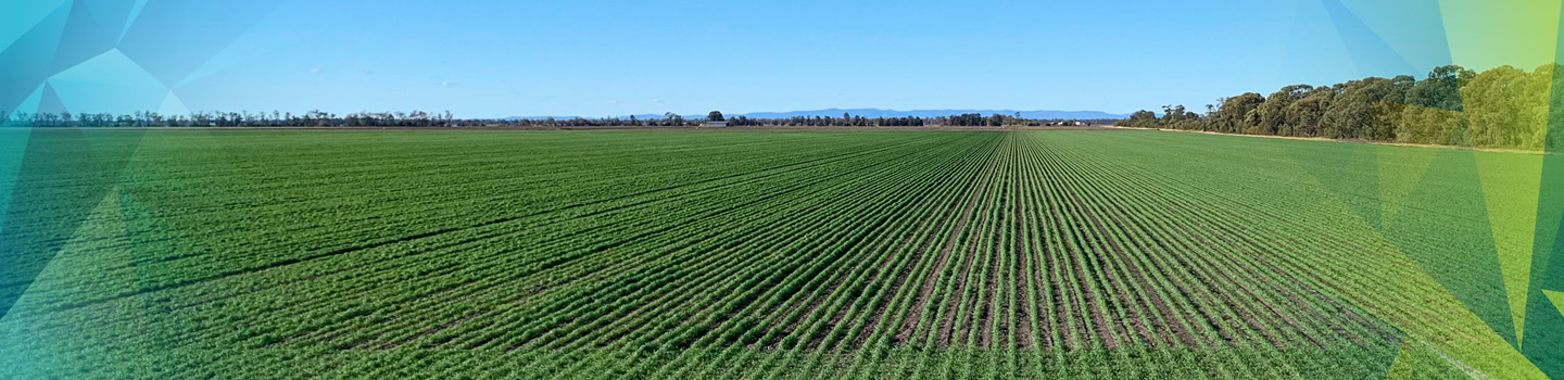 green_furrows_farm_1440x350