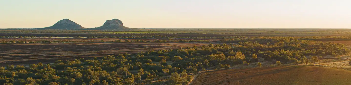 nebo_landscape_1440x350-1