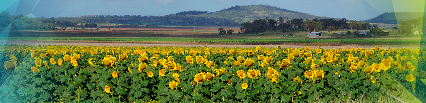 cecil_plains_condamine_1440x350