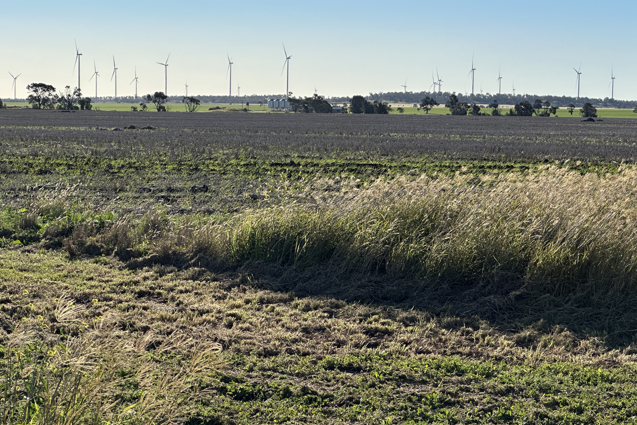 windfarm_dulacca_1280x855